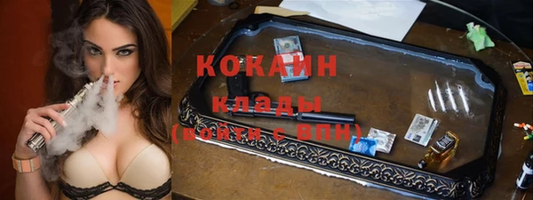 шишки Арсеньев