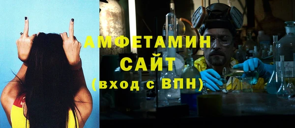 шишки Арсеньев