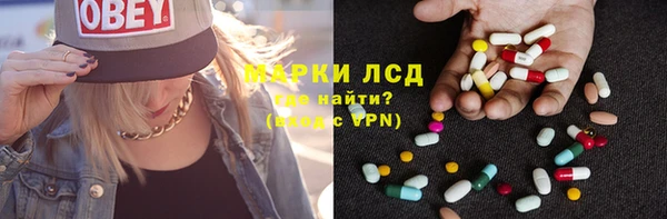 шишки Арсеньев