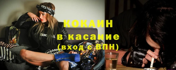 стафф Аркадак
