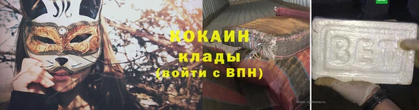 шишки Арсеньев