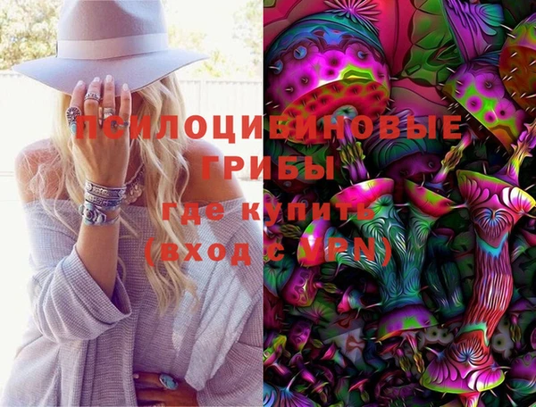 шишки Арсеньев