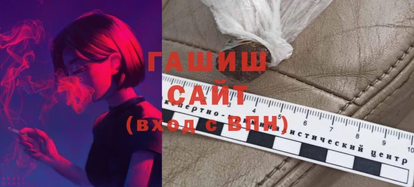 шишки Арсеньев